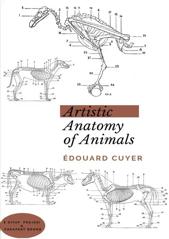 ARTISTIC ANATOMY OF ANIMALS