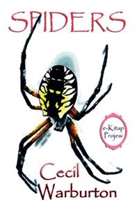 SPIDERS