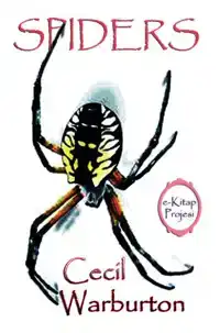 SPIDERS