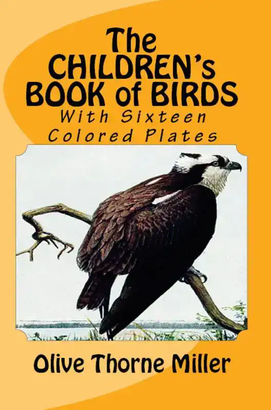 THE CHILDREN'S BOOK OF BIRDS