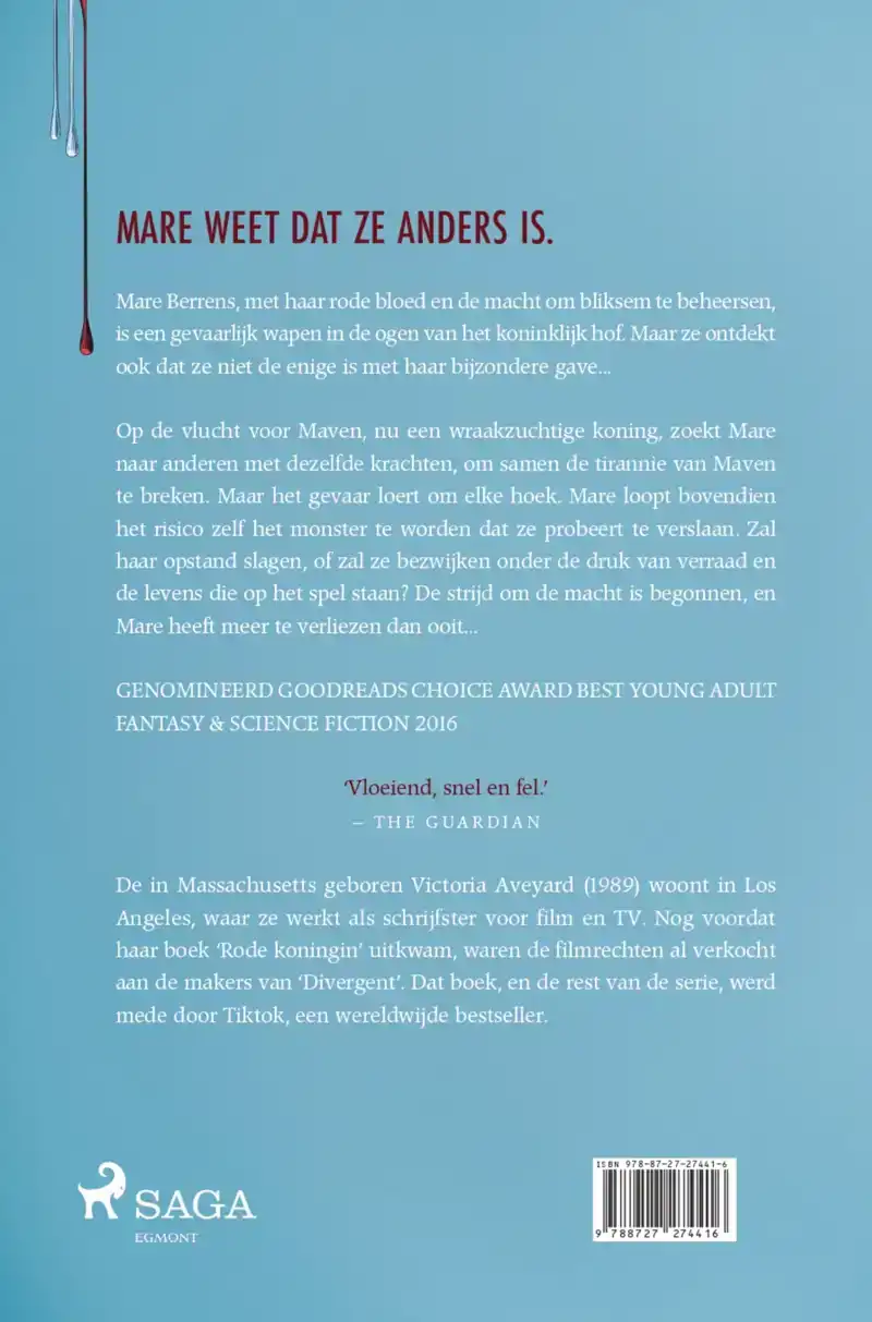 ZWAARD VAN GLAS