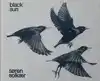 SOREN SOLKAR: BLACK SUN