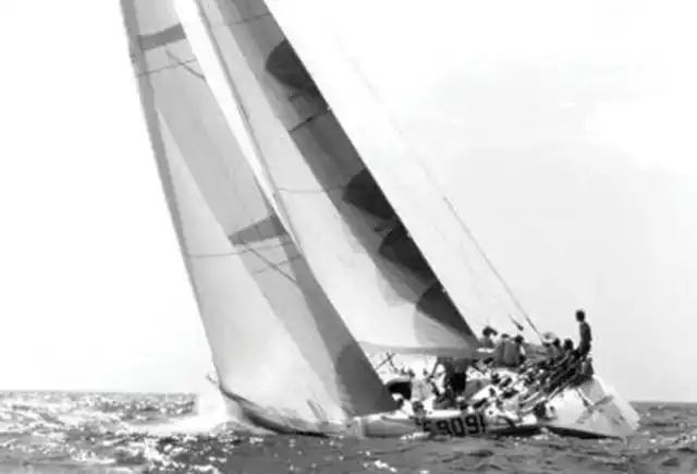 ANDREA VALLICELLI