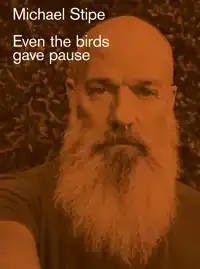 MICHAEL STIPE: EVEN THE BIRDS GAVE PAUSE