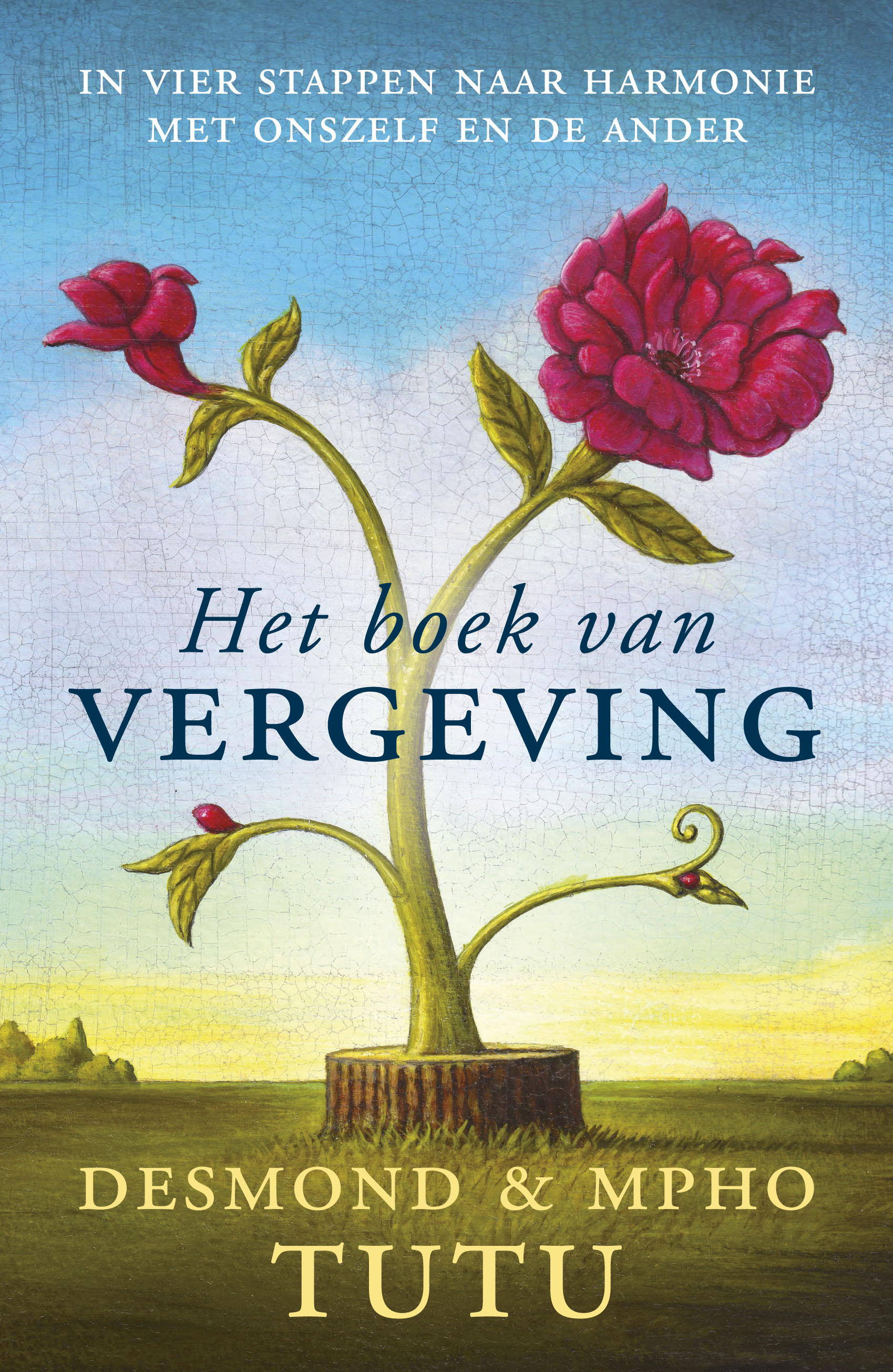 HET BOEK VAN VERGEVING