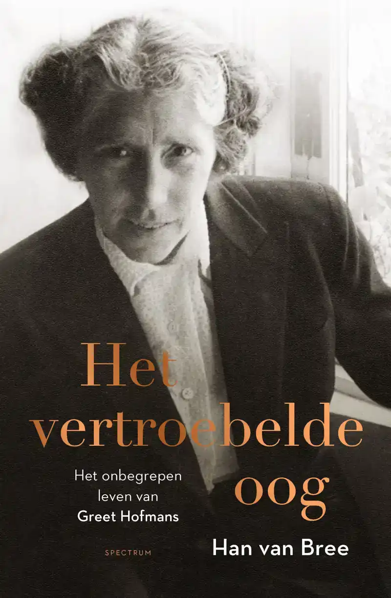 HET VERTROEBELDE OOG