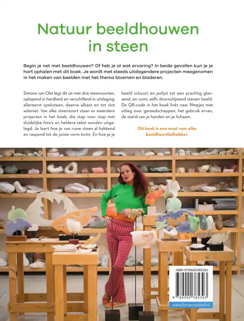 NATUUR BEELDHOUWEN IN STEEN