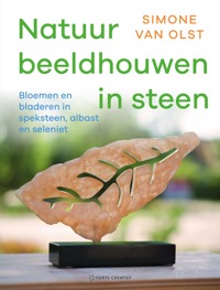 NATUUR BEELDHOUWEN IN STEEN