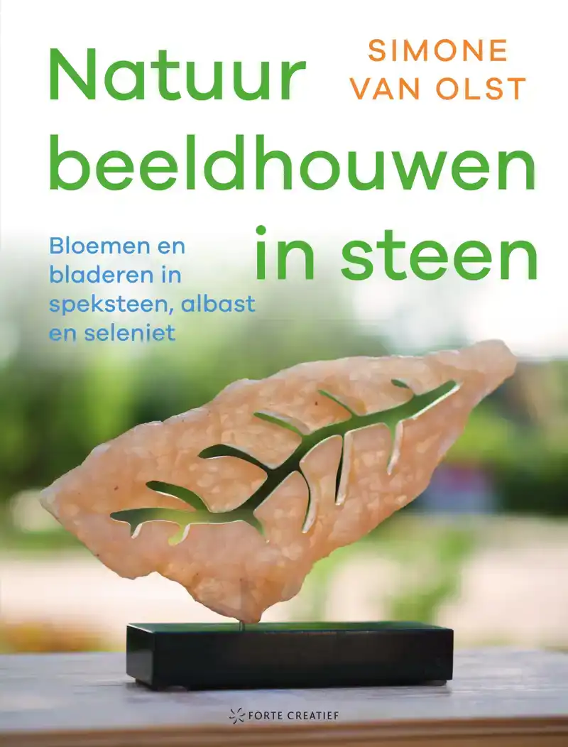 NATUUR BEELDHOUWEN IN STEEN