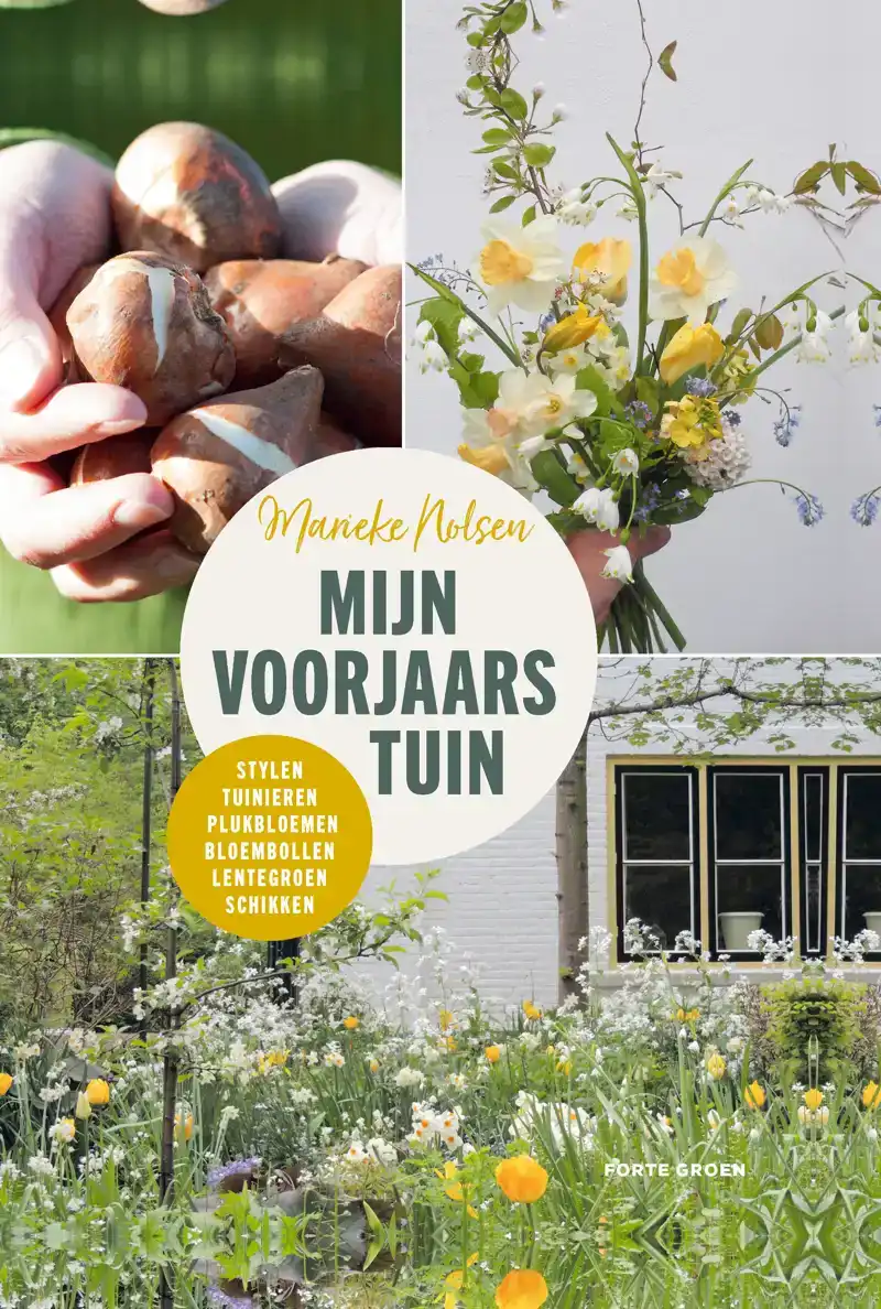 MIJN VOORJAARSTUIN
