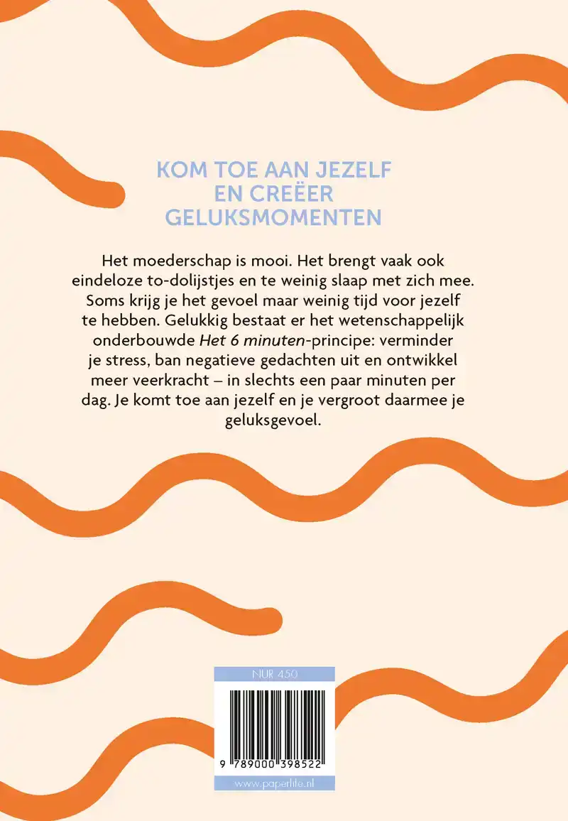 HET 6 MINUTEN DAGBOEK VOOR MOEDERS