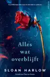 ALLES WAT OVERBLIJFT