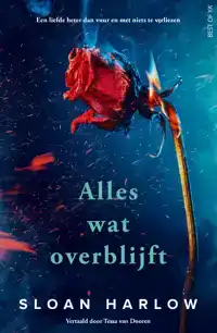 ALLES WAT OVERBLIJFT