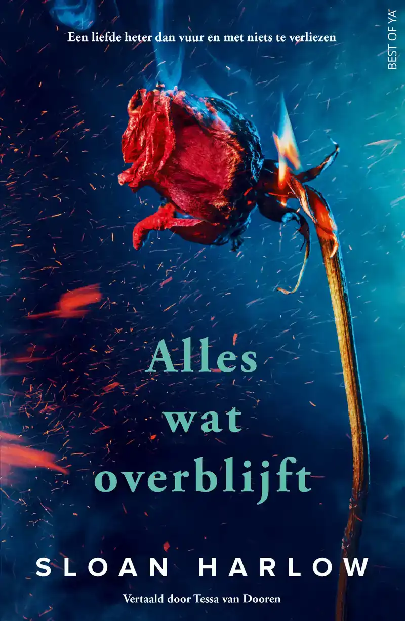 ALLES WAT OVERBLIJFT