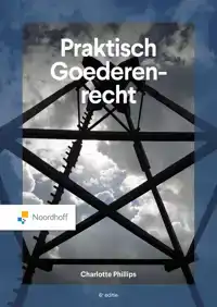 PRAKTISCH GOEDERENRECHT - 6E EDITIE