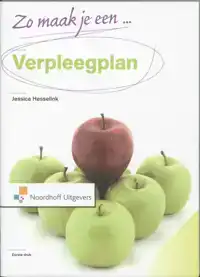 ZO MAAK JE EEN VERPLEEGPLAN!