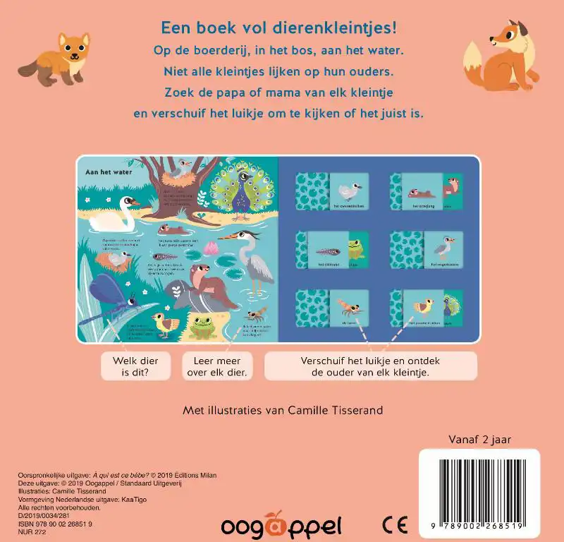 VAN WIE IS DIT KLEINTJE ?