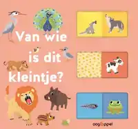 VAN WIE IS DIT KLEINTJE ?