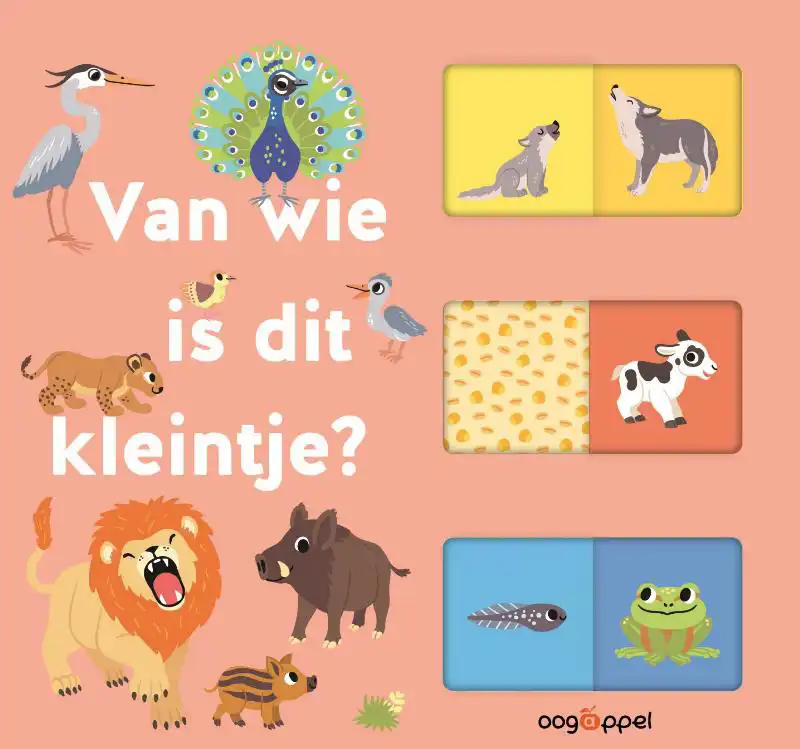VAN WIE IS DIT KLEINTJE ?