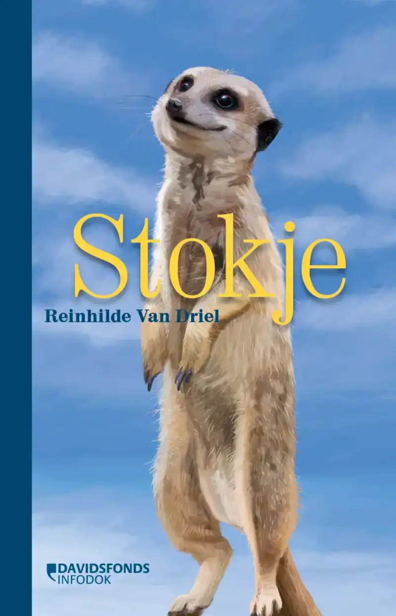 STOKJE