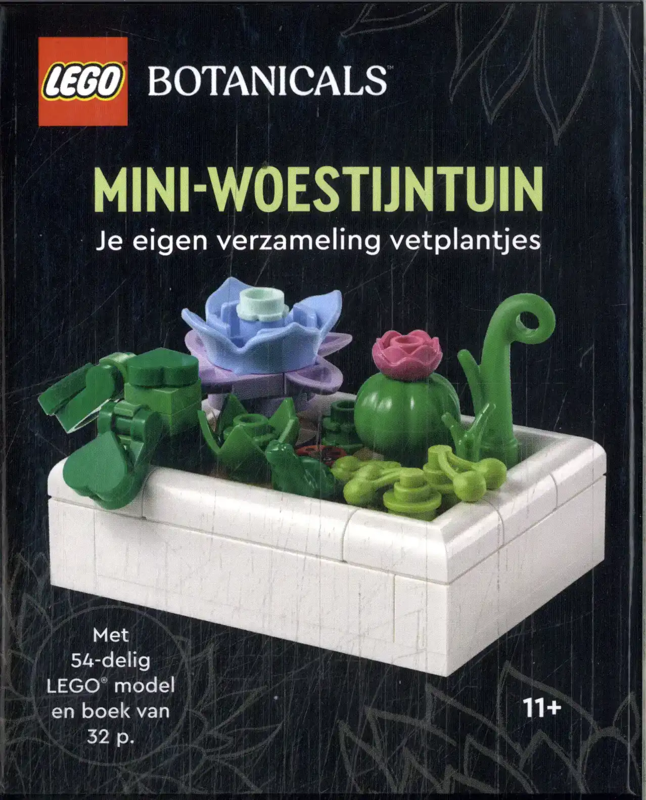 LEGO BOTANICALS: MINI-WOESTIJNTUIN