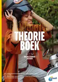 BROMMER THEORIEBOEK AM