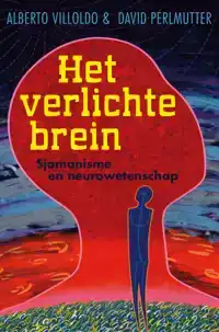 HET VERLICHTE BREIN