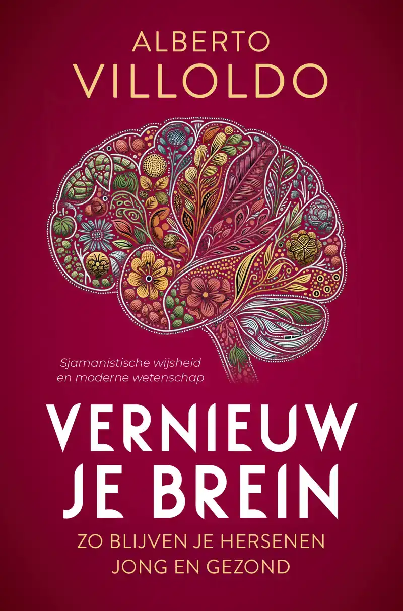 VERNIEUW JE BREIN