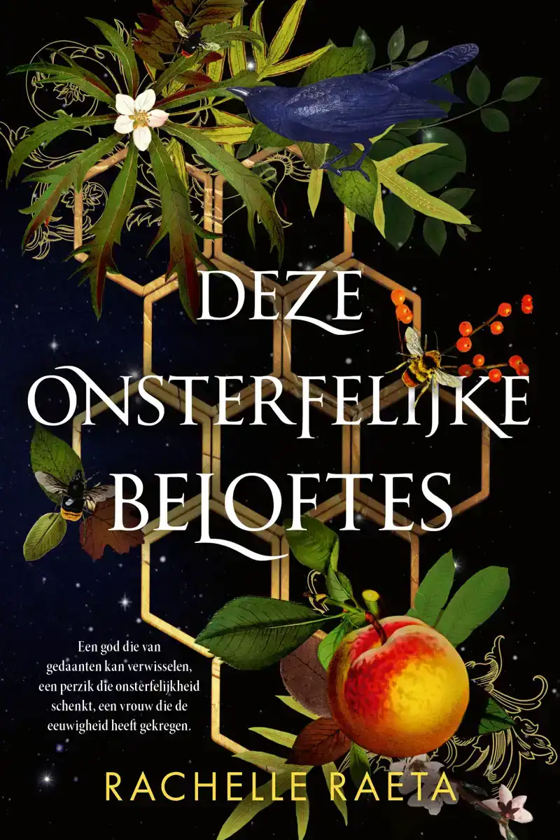 DEZE ONSTERFELIJKE BELOFTES