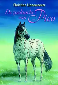DE ZOEKTOCHT VAN PICO