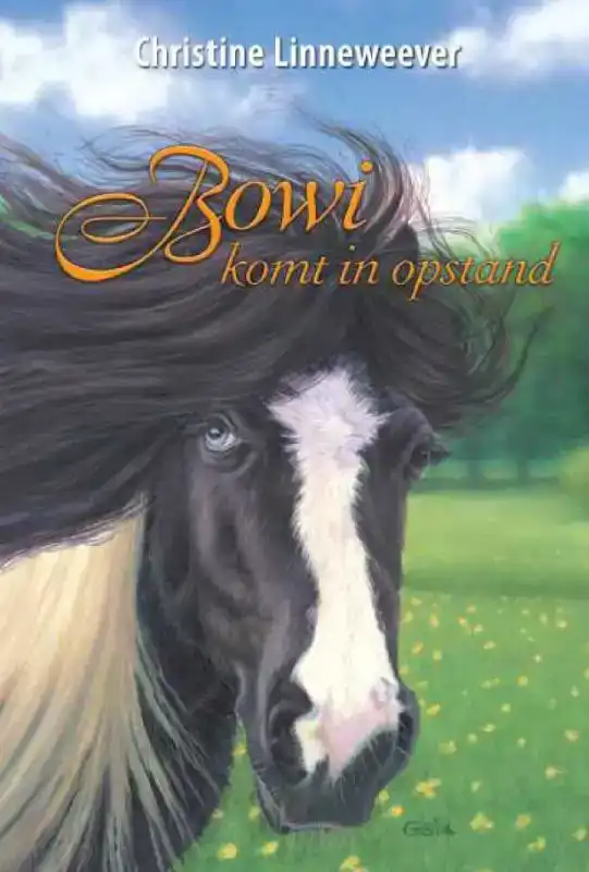 BOWI