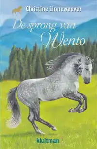 DE SPRONG VAN WENTO