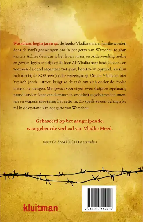 HET MEISJE AAN DE ANDERE KANT VAN DE MUUR