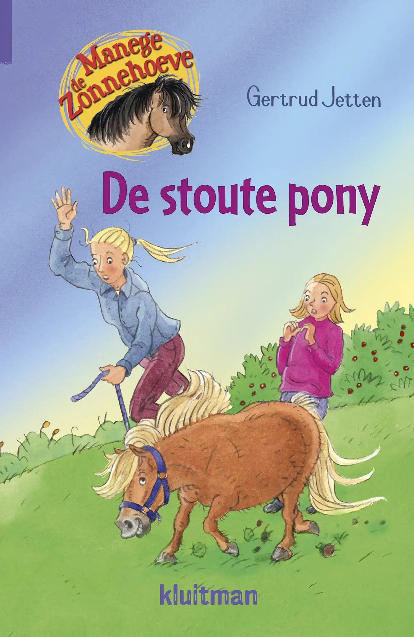DE STOUTE PONY