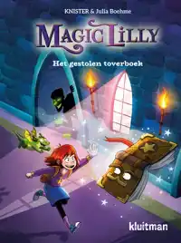 HET GESTOLEN TOVERBOEK