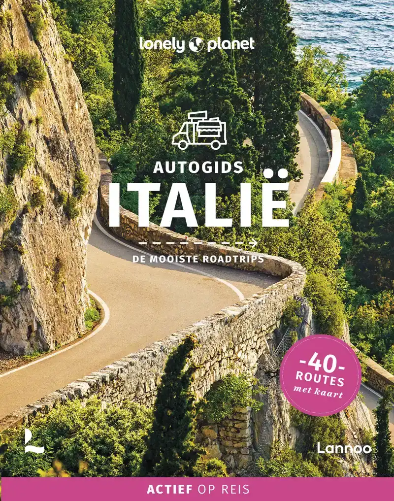 LONELY PLANET AUTOGIDS ITALIE