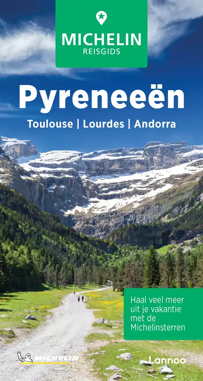 MICHELIN REISGIDS PYRENEEEN