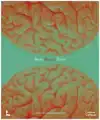 BREINWONDER / WONDER BRAIN