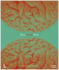 BREINWONDER / WONDER BRAIN