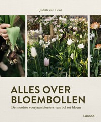 ALLES OVER BLOEMBOLLEN