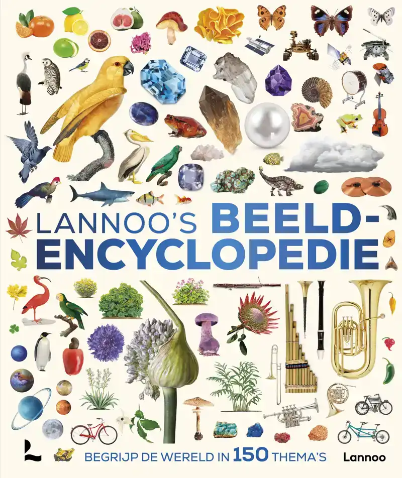 LANNOO'S BEELDENCYCLOPEDIE