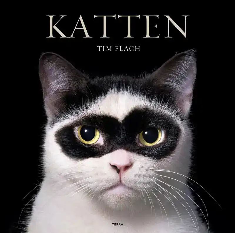 KATTEN