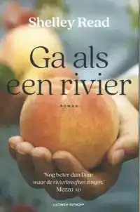 GA ALS EEN RIVIER