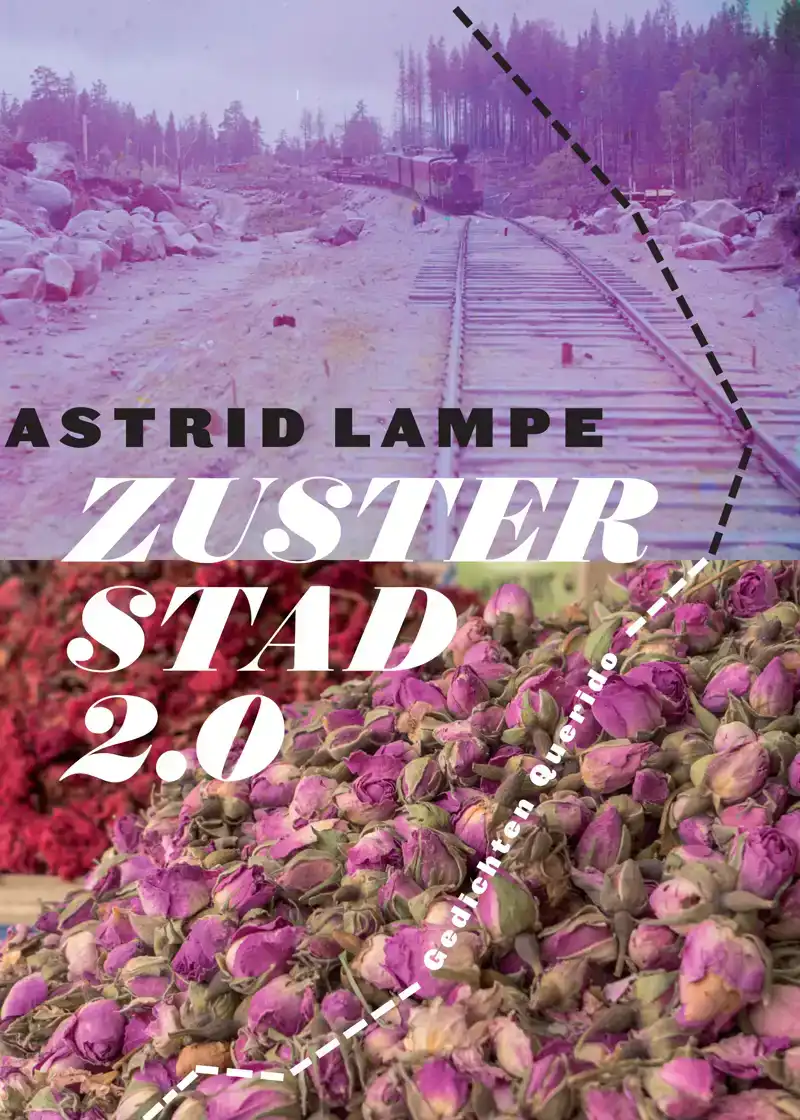 ZUSTERSTAD 2.0