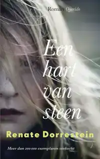 EEN HART VAN STEEN