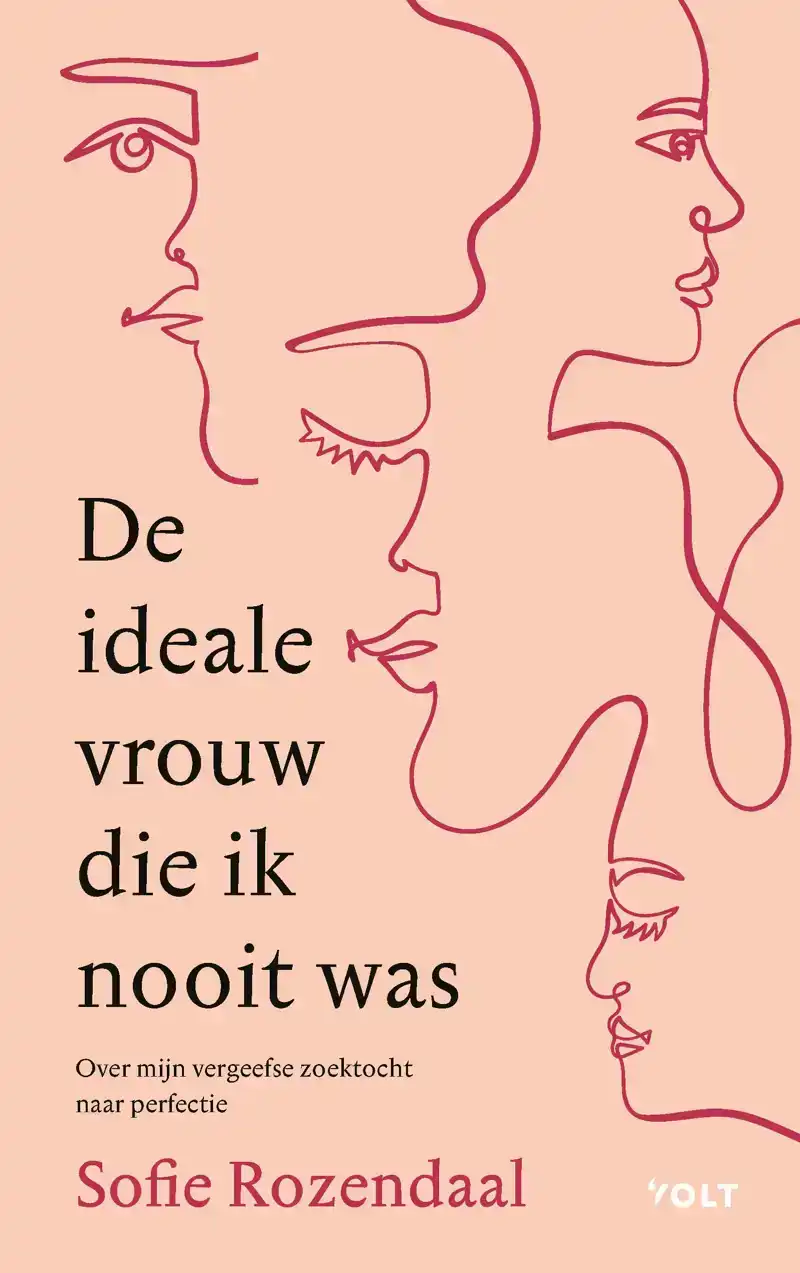 DE IDEALE VROUW DIE IK NOOIT WAS