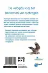 ANWB ROOFVOGELGIDS VAN EUROPA