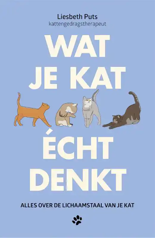 WAT JE KAT ECHT DENKT