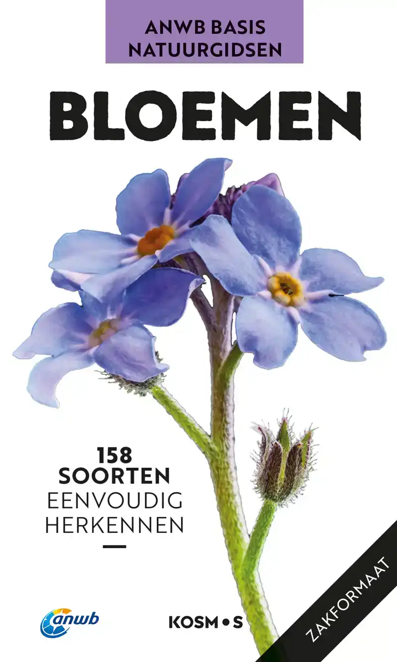 BLOEMEN