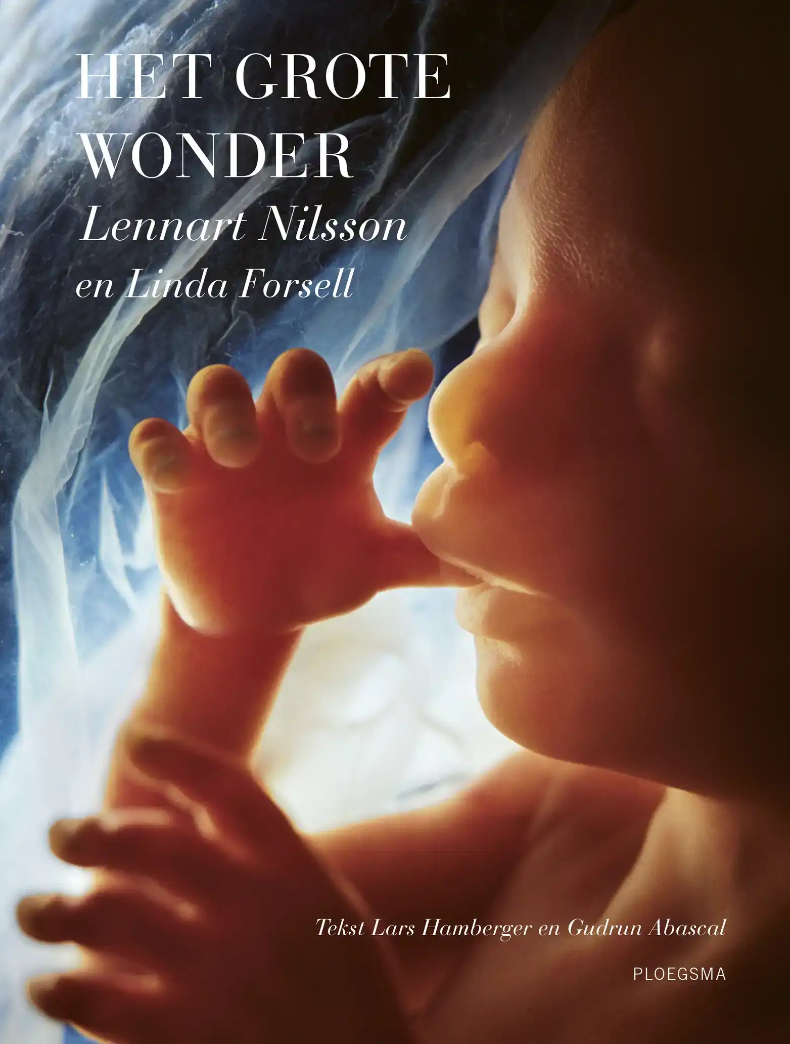HET GROTE WONDER